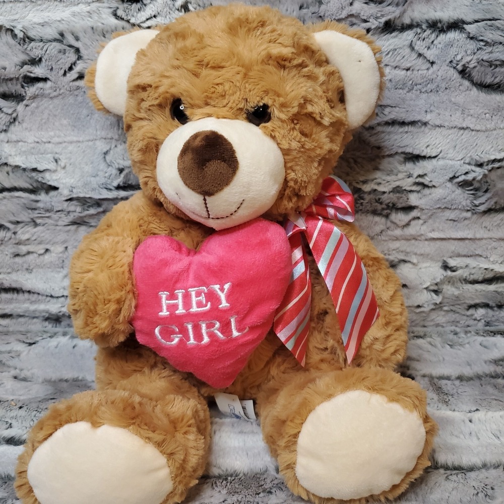 Hug Fun Hug Me 10" Plush‎ Brown Teddy Bear Pink Hey Girl  Heart Valentine's Day